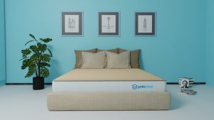 Orthocare Pure Latex Mattress