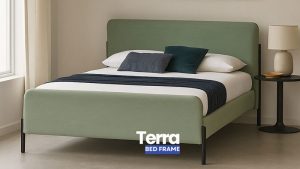 Terra - Image 2