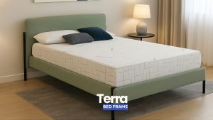 Terra - Image 3