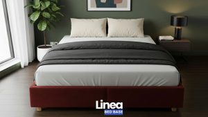 Linea - Image 2