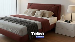 Tetra - Image 3