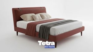 Tetra - Image 4